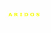 Aridos - Clase