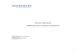Manual Amadeus Basico 2010 (1)