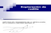 exploracion rodilla 1