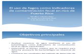El uso de fagos como indicadores de contaminación fecal en ríos de Puerto Rico. Nicolle E. Lebrón (J. Arce)
