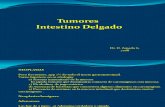 20) Tumores Intestino Delgado