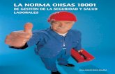 Norma Ohsas 180012