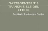 Gastroenteritis Transmisible Del Cerdo