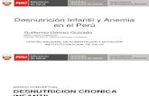 Desnutricion Cronica y Anemia Peru Septiembre 2013 GGG