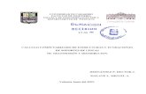 Calculo Computarizado de Estructuras y Fundaciones de Soportes de Lineas de Transmision y Distribucion