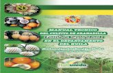 Manual Tecnico Del Cultivo de Granadilla en El Huila