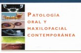 Patología Oral y Maxilofacial Contemporánea - Sapp