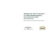 Manejo de Plagas y Enfermedades en Huerta Ecologica