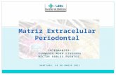 Matriz Extracelular Periodontal Completo (Modif1)