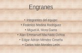 Engranes Expo