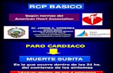 RCP BASICO Municipio.ppt