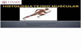 Histologia Tejido Muscular USMP
