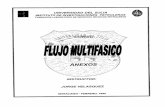 Correlaciones Flujo Multifasico Jovejara