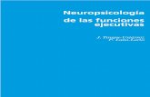 Neuropsicología funciones cognitivas
