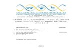 GRADO DE CONTAMINACIÓN DE LA LAGUNA MARVILLA DE LOS PANTANOS DE VILLA (3)