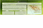 Tema 7 Ecosistema Terrestre Invertebrados