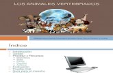 Webquest - Los Animales Vertebrados