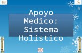 Apoyo medico sistema holistico.pps