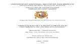 Monografia Graduacion Ortodoncia Luis Arriola Guillen