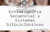 Tema 4 Estratigrafía Secuencial y Sistemas Siliciclásticos.ppsx