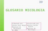 Glosario micología 1130