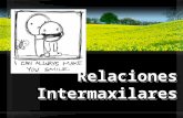 relaciones-intermaxilares (1)