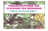 Productora de Colines de Banano