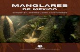 Manglares de México-parte1