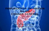 Pancreatitis de Origen Biliar