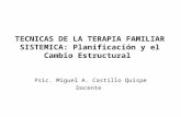 Tecnicas de La Terapia Familiar Sistemica II