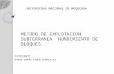 EXPOSICIÓN  HUNDIMIENTO DE BLOQUES.pptx
