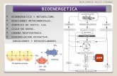 Tema 2 Bioenergetica