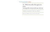 5 Metodologia Implementacion Erp