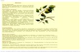 166 plantas medicinales