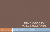 Neurocráneo y viscerocráneo