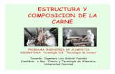 ESTRUCTURA Y COMPOSICION DE LA CARNE.pdf