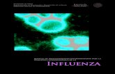 11 Manual Influenza vFinal 17ene14