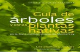 Guía de árboles y otras plantas nativas en la zona metropolitana de Monterrey.