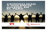 Criminalidad y violencia juvenil en el Perú