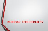 Presentacion Reservas Territoriales Equipo 4
