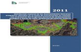 PAOT, Asentamientos Irregulares 2011.pdf