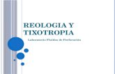 Reologia y Tixotropia