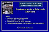 110 Fundamentos de Educación Ambiental.pdf