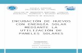INCUBACIÓN DE HUEVOS CON ENERGÍA SOLAR MEDIANTE LA UTILIZACIÓN DE PANELES SOLARES