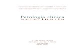 Patologia Clinica Veterinaria-Ochoa