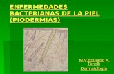 Enfermedades Bacterianas de La Piel Piodermias 1232954567968867 1