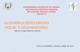 Glomeruloesclerosis Focal y Segmentaria