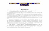 Manual Audio Car + Fibra de Vidrio Tuning