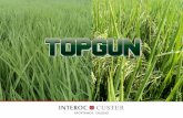 Top Gun Conceptos Base Ecuador