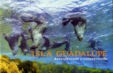 Isla Guadalupe-Conservación y Restauración